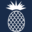 9arapahoroad.com favicon